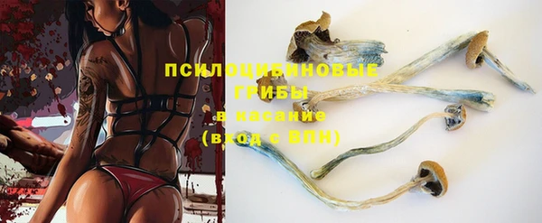 винт Коряжма