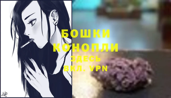 ECSTASY Корсаков