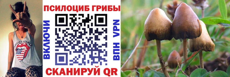 Галлюциногенные грибы Psilocybe  Купить где  Уфа 